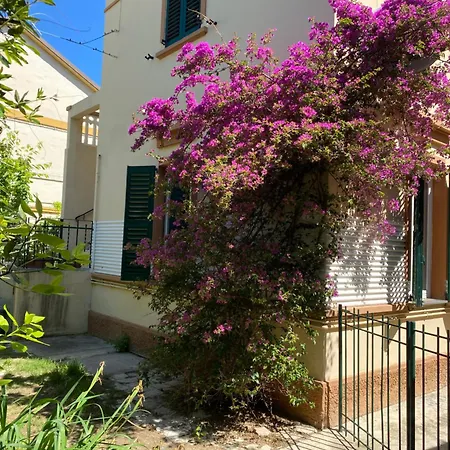 Con Giardino Con Aria Condizionata 公寓 西尼加利亚