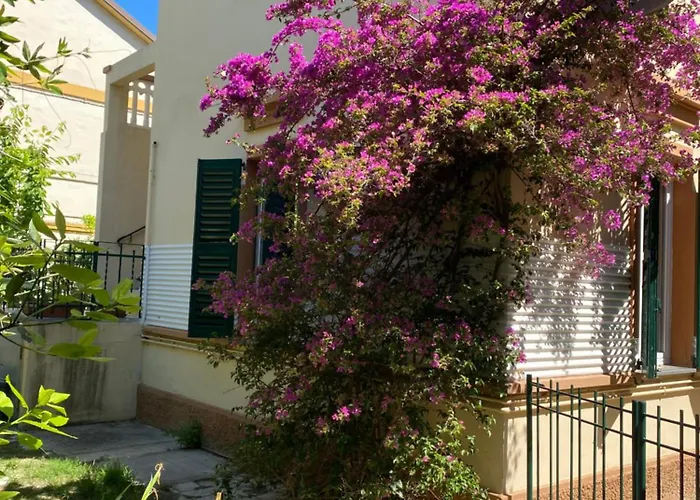 Con Giardino Con Aria Condizionata Apartmán Senigallia